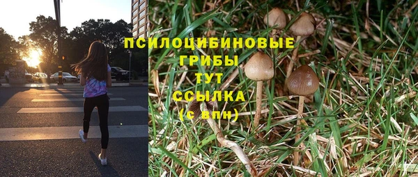 не бодяженный Гусь-Хрустальный