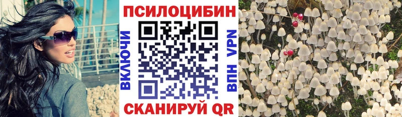 Галлюциногенные грибы Psilocybine cubensis  Купить где  Сураж 